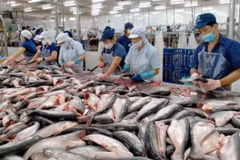 Évaluation initiale du FSIS sur la sécurité alimentaire du pangasius vietnamien