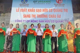 Le premier lot de riz bio Quang Tri prend le chemin de l’Europe
