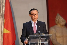 Les relations Vietnam - Danemark se développent de manière substantielle et efficace