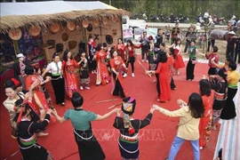 Ouverture du festival de fleurs de bauhinie dans la ville de Dien Bien Phu