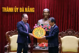 Da Nang cherche davantage d'opportunités de coopération avec la Russie