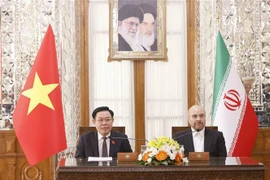 Vietnam-Iran: Conférence de presse conjointe des présidents des organes législatifs