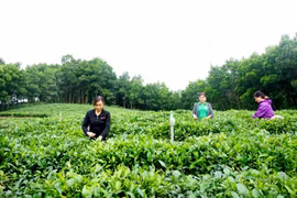 Conférence sur la garantie de la qualité et de la sûreté des produits agricoles, sylvicoles et aquacoles