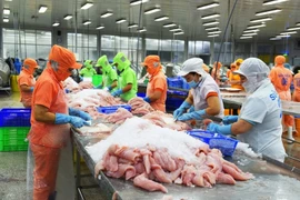 Les exportations de pangasius vers l’Arabie saoudite en hausse de 13% en trois mois