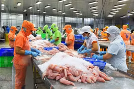 Les exportations de pangasius vers l’Arabie saoudite en hausse de 13% en trois mois