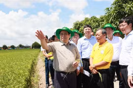 Tournée de travail du Premier ministre Pham Minh Chinh à Dong Thap