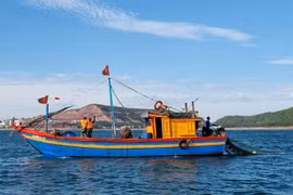 INN : Nghe An met tout en oeuvre pour lever le "carton jaune" de la CE