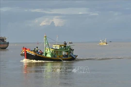 Lutte contre la pêche INN: Binh Thuan inspecte les exportations de produits aquatiques vers l'Europe