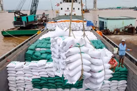 Le prix du riz vietnamien exporté est le plus élevé au monde