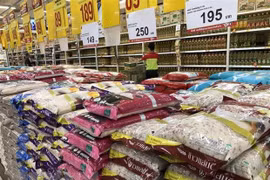 Thaïlande : les exportations de riz augmentent de 23 % au cours des 4 premiers mois de l'année