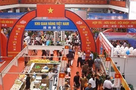 Le Vietnam participe à la 3e Exposition internationale de produits de consommation de Chine