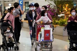 Les entreprises et touristes chinois saluent la relance des voyages de groupe au Vietnam 