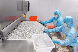 Quang Ninh devrait attirer un milliard de dollars d'IDE en 2023