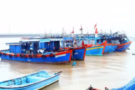 Quang Binh poursuit ses efforts de lutter contre la pêche INN