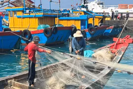 La province de Tien Giang redouble des efforts contre la pêche INN
