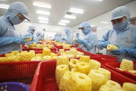 Les activités d'exportation de fruits et légumes demeurent dynamiques 