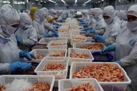  Les exportations de crevettes devraient rapporter 3,4 milliards de dollars cette année