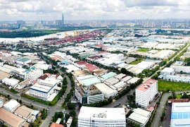 Ho Chi Minh-Ville développe des ZI et des ZF selon des modèles écologiques