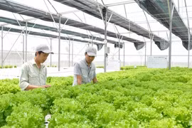 L’Australie financera l’innovation technologique dans le secteur agricole vietnamien