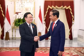 Le Vietnam chérit son partenariat stratégique avec l’Indonésie
