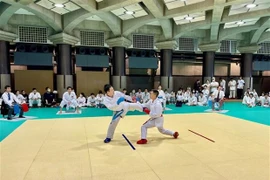Tournoi de karaté vietnamien au Japon