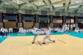 Tournoi de karaté vietnamien au Japon