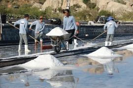 Ninh Thuân oriente sa production de sel vers l’exportation 