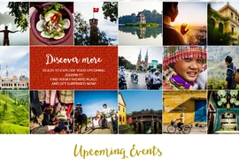 Vietnamtourism.vn : site d’internet pour les touristes étrangers