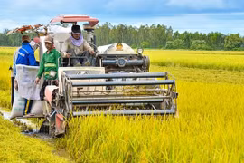 Le Vietnam oeuvre pour devenir un producteur et fournisseur alimentaire durable