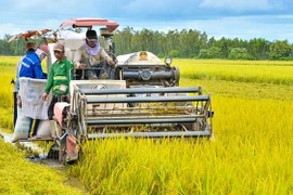 Le Vietnam oeuvre pour devenir un producteur et fournisseur alimentaire durable