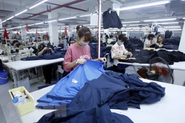Le Vietnam présente ses potentialités à des entreprises européennes
