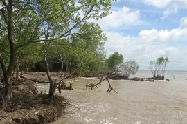 Promulgation d'un système de supervision des activités d'adaptation au changement climatique