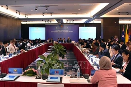 ARF: la 11e réunion du Groupe de travail de mi-mandat sur la sécurité maritime à Da Nang