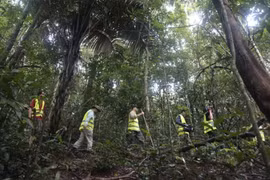 Cambodge: Quelque 25 millions de dollars générés par l'écotourisme au cours des neuf premiers mois