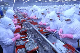 Les exportations de produits aquatiques atteignent 4,88 milliards de dollars en sept mois