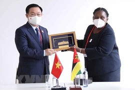 Promotion de l'amitié traditionnelle entre le Vietnam et le Mozambique