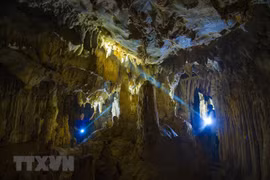 La grotte Tra Tu - une destination impressionnante à Ninh Binh