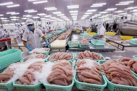Les exportations aquatiques vers la Chine montrent des signes de rebond