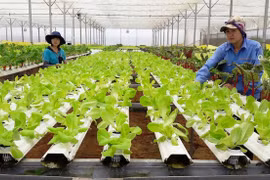 Vers l'objectif de 1,2 à 1,5 million d'entreprises