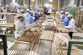 Nécessité de mesures vigoureuses pour profiter des avantages de l’EVFTA