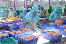 L'EVFTA, un tremblin pour les exportations agricoles du Vietnam