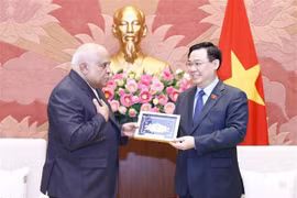 Le Vietnam chérit ses relations avec Cuba et la Russie
