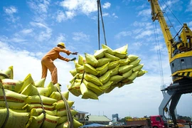 Exportations de riz : le Vietnam établit un nouveau record 