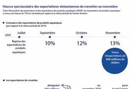 Hausse spectaculaire des exportations vietamiennes de crevettes en novembre