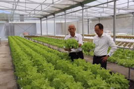 Le premier Forum économique global pour les Vietnamiens d’outre-mer en R. de Corée