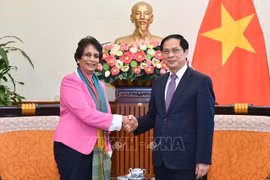 Le PNUD soutient le Vietnam dans son développement vert et durable