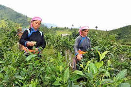 «Un gage de qualité et de réussite…» 