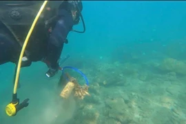 Les îles Cham s'efforcent de devenir un site touristique sans déchets plastiques