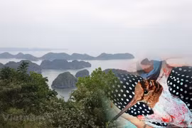 Le Vietnam déterminé à éliminer tous les actes nuisibles des oiseaux migrateurs