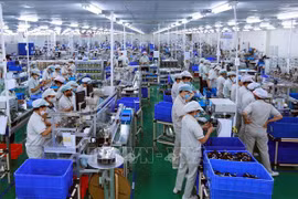 IDE : 14 milliards de dollars investis au Vietnam en cinq mois